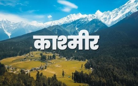 काश्मीरमध्ये अडकलेल्या पर्यटकांना सुरक्षित महाराष्ट्रात परत आणण्याची मागणी ; डॉ.अमोल कोल्हे