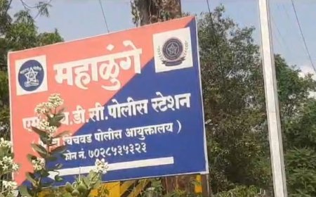 भरधाव ट्रकची धडक;पादचार्‍याचा मृत्यू