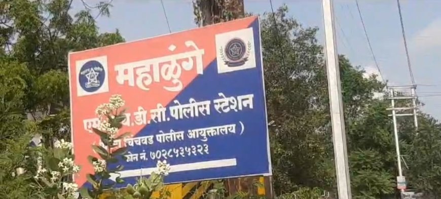 भरधाव ट्रकची धडक;पादचार्‍याचा मृत्यू