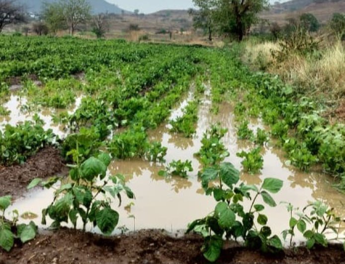 खेडमध्ये अवकाळी पावसाचा तडाखा; चिखलगाव परिसरातील पिकांचे मोठे नुकसान, शेतकरी संकटात