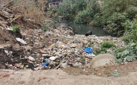 पावसाळा तोंडावर; चाकण शहरातील नाले सफाईकडे नगरपरिषदेचे दुर्लक्ष