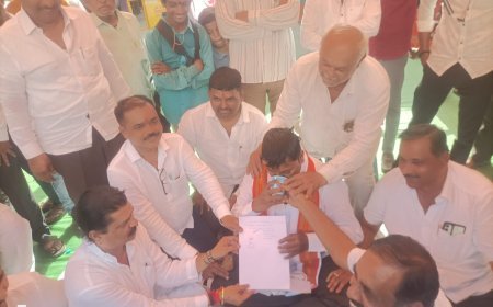 माऊलींच्या पालखी रथाला बैलजोडी जुंपण्याच्या वादावर तोडगा काढण्याचे आश्वासन