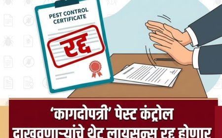 कागदोपत्री ‘पेस्ट कंट्रोल’ दाखवणाऱ्यांचे थेट लायसन्स रद्द होणार