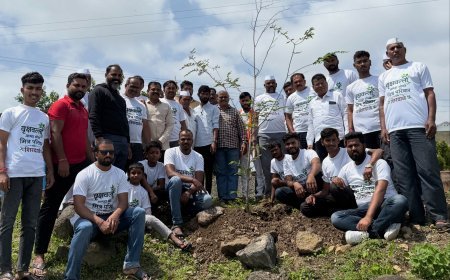 आंबेगावच्या शिरदाळेत १०० देशी वृक्षांचे वृक्षारोपण